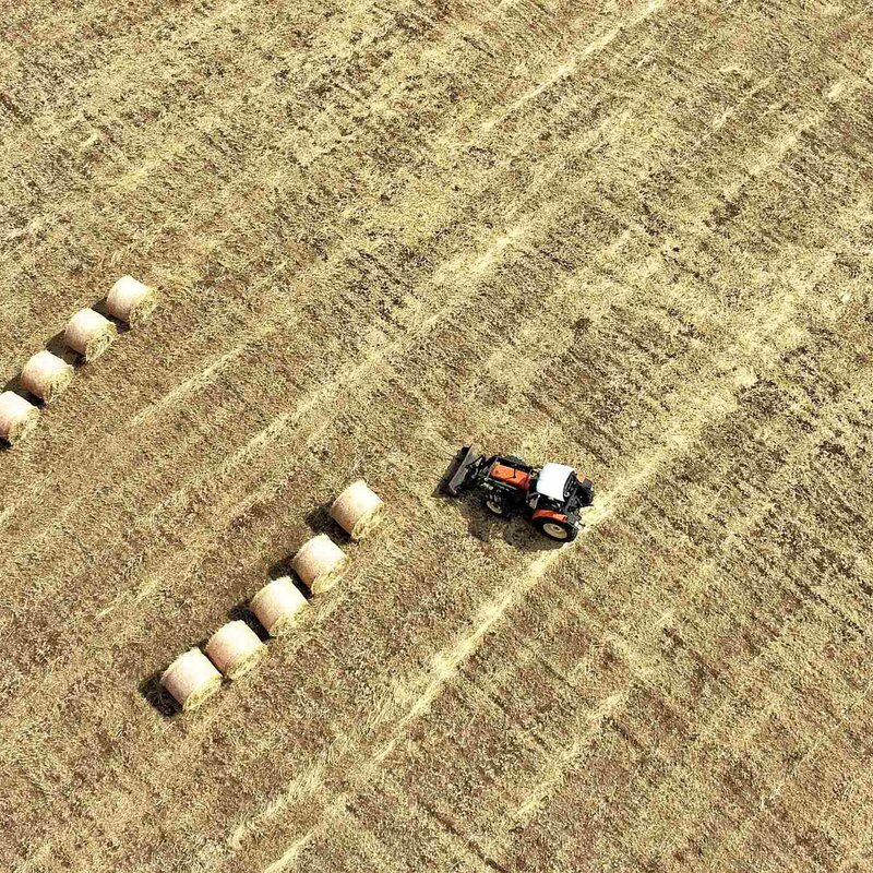 Dopo Il Raccolto Ph Gianfranco Guccione