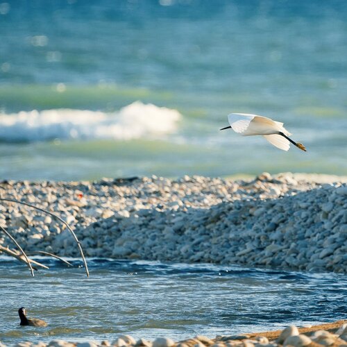 Irminio estuary nature reserve