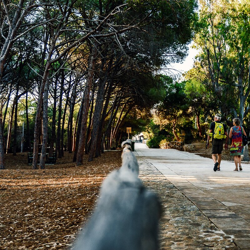 Randello nature reserve: unspoiled nature and coastline